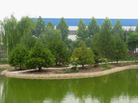 ��(y��u)�����C��̫�O