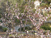 ̫�O�²����O(sh��)�乫˾���쾰ɫ