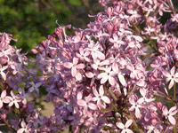 ̫�O��@��ɫ��̫�O�²����O(sh��)�乫˾